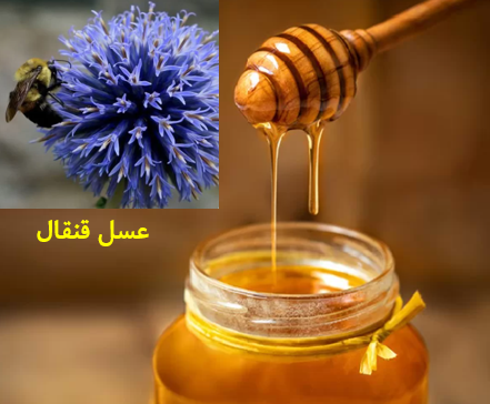عسل قنقال + فروش عمده